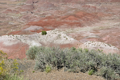 Tiponi Point in the Painted Desert